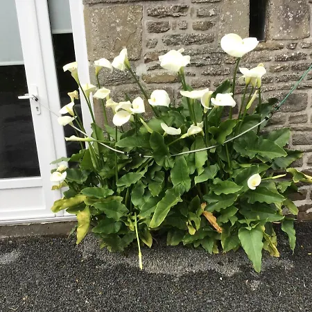 La Postellerie 3* Fleury (Manche)